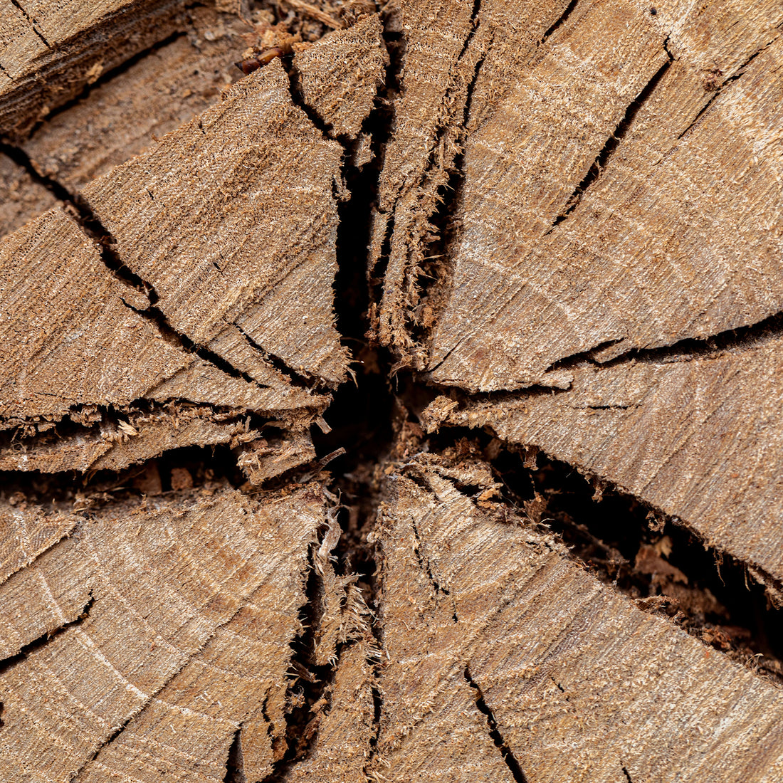 Madera cortada con ruedas de corte